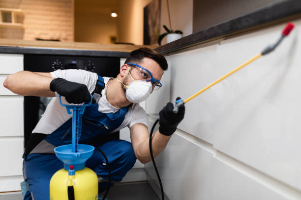 Best Affordable Pest Control Services  in Lockport, IL