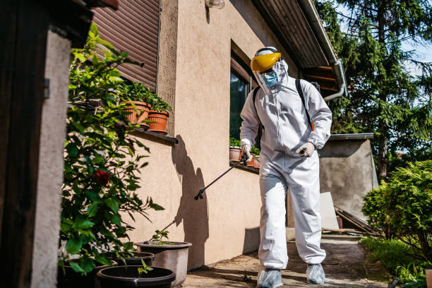 Wildlife Control Services in Lockport, IL