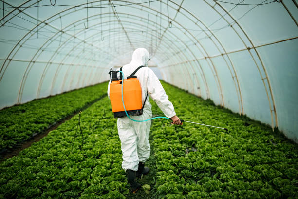 Best Pest Inspection Near Me  in Lockport, IL