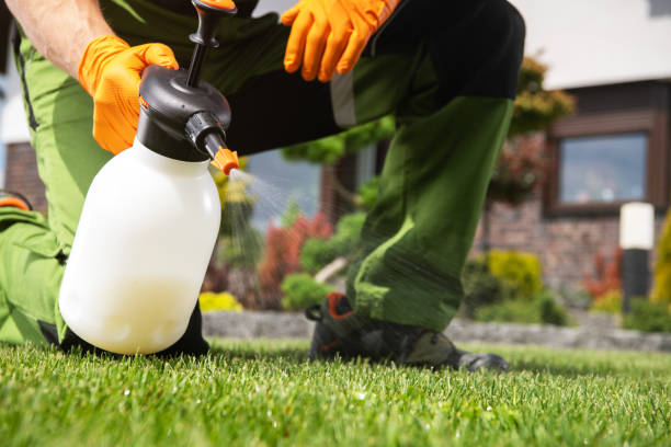 Best Local Pest Control Services  in Lockport, IL