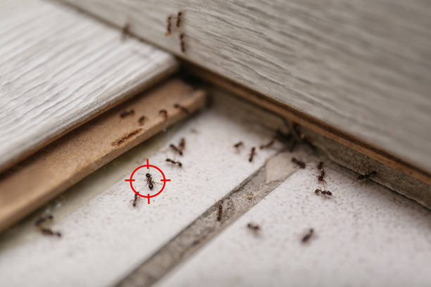Pest Control Cost in Lockport, IL