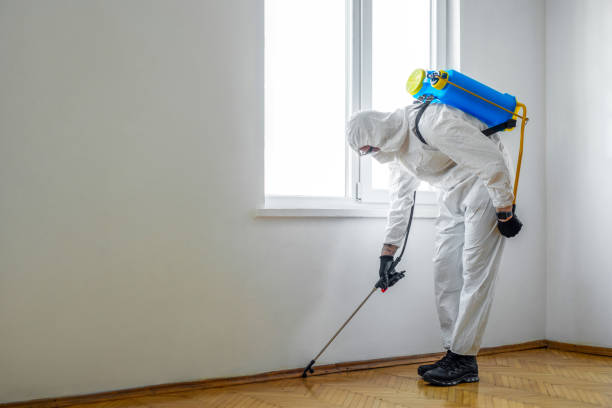 Best Flea Control Services  in Lockport, IL