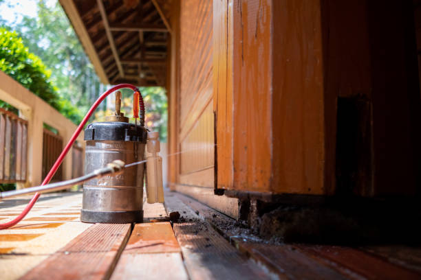 Best Pest Control Treatment  in Lockport, IL