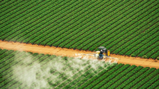 Best Commercial Pest Control Services  in Lockport, IL